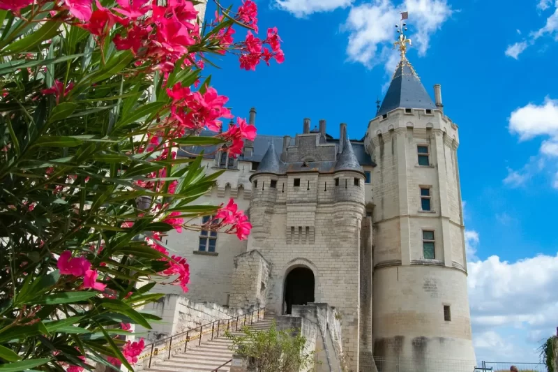 Château de Saumur na França, com torreões medievais e flores cor-de-rosa em primeiro plano, sob céu azul.