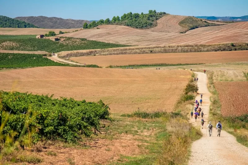 Grupo de peregrinos caminhando em estrada de terra em meio a campos agrícolas, paisagem rural do Caminho de Santiago, colinas e céu azul.
