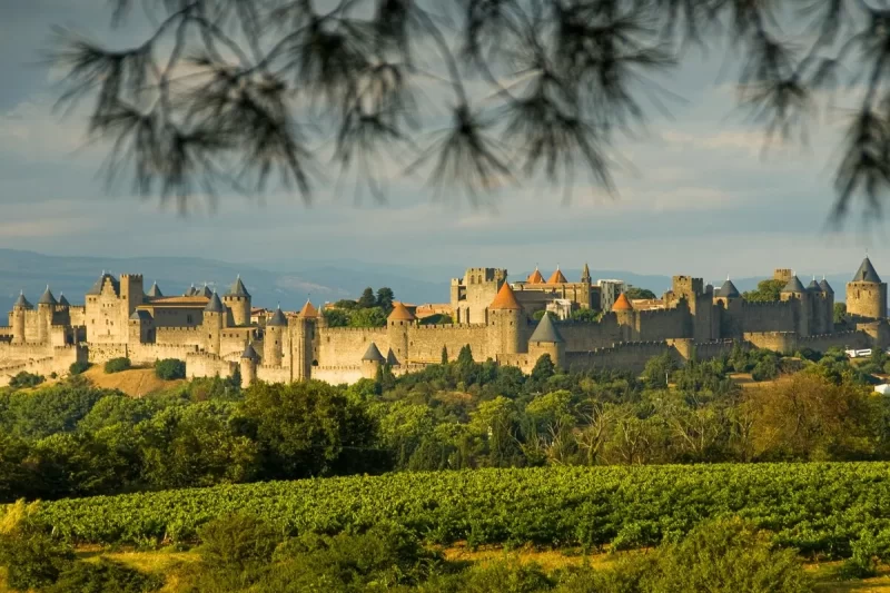 A cidade fortificada de Carcassonne ao longe, com suas muralhas e torres medievais visíveis acima de um vinhedo verde e árvores frondosas, sob um céu parcialmente nublado e emoldurada por folhagem escura em primeiro plano.