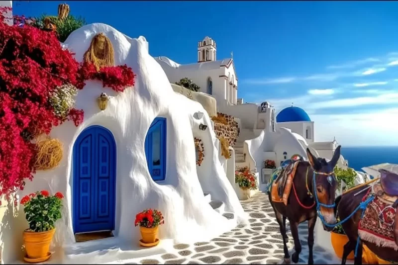 Uma rua pavimentada de paralelepípedos com duas mulas, em meio a casas brancas com portas azuis e flores vermelhas em vasos. A imagem representa uma paisagem típica de Santorini, na Grécia.
