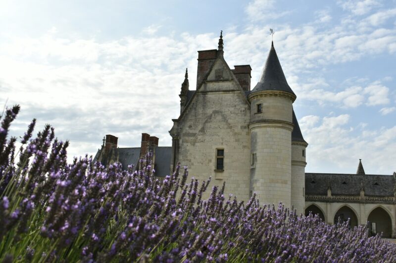 Castelo do Vale do Loire em meio a campos de lavanda.
